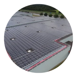 Groendus versterkt marktpositie